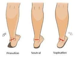 Physiotherapist - Pronation / Supination - Eddie O'Grady Physiotherapist