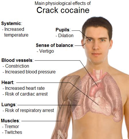 Crack Cocaine - Main Physiological Effects (Image) | Medicalchemy Toxicology