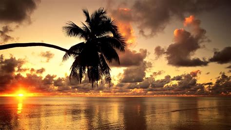 Hawaii Beach Sunset Wallpapers - 4k, HD Hawaii Beach Sunset Backgrounds ...