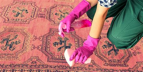 Persian Rug Cleaning: How to Clean Persian Rug? | Bijan Rugs