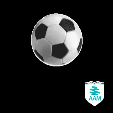 Soccer Ball GIF by AAM - Find & Share on GIPHY