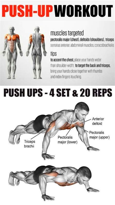 How to Get Bigger Arms With Push Ups - Fitness and Power | Push up workout, Chest workout for ...