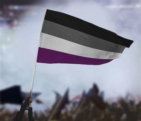 Asexual Pride Flag | Flags For Good