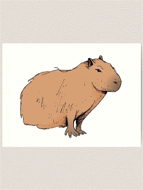 "Classic Capybara " Art Print by ThePreppyPagans | Redbubble