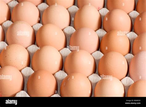 Brown eggs in an egg carton Stock Photo - Alamy