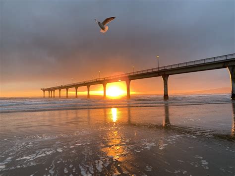 Early bird | canterburystories.nz