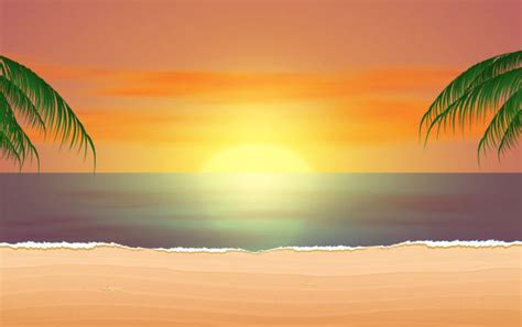 Download beach sunset background Bhmpics