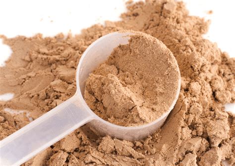 Best Soy Free Protein Powder - 4 Top Choices