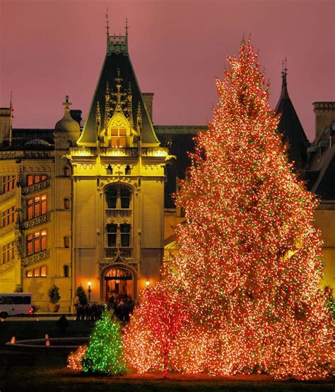 The giant Christmas Tree in front of Biltmore House in Asheville, NC ...