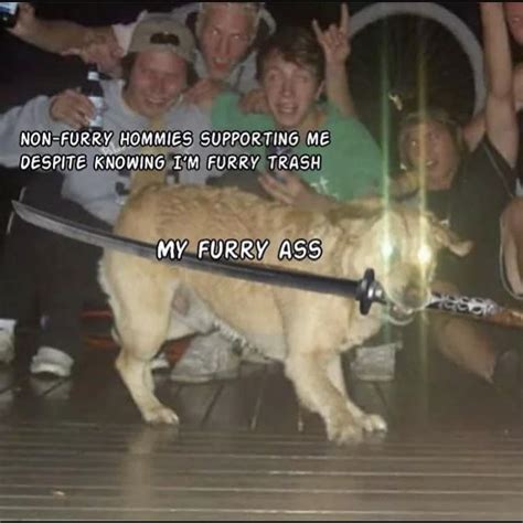 Dog with samurai sword : r/MemeTemplatesOfficial