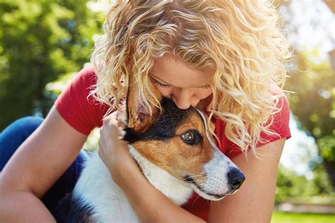 Pets and Funerals: A Guide to Bringing Pets to a Funeral Service | Funeral, Pets, Funeral services