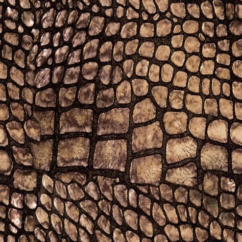 Fabric/Leather: Alligator Skin seamless texture | Skin textures ...