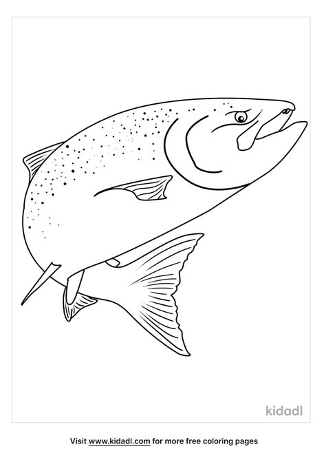 Free Chinook Salmon Coloring Page | Coloring Page Printables | Kidadl