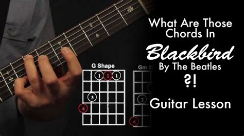 What Chords Are Those In Blackbird by The Beatles?! • Garret's Guitar Lessons