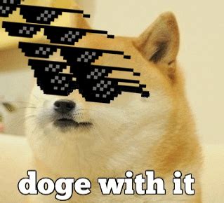 Doge GIF - Find & Share on GIPHY