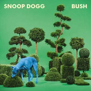 Bush (album) - Wikipedia