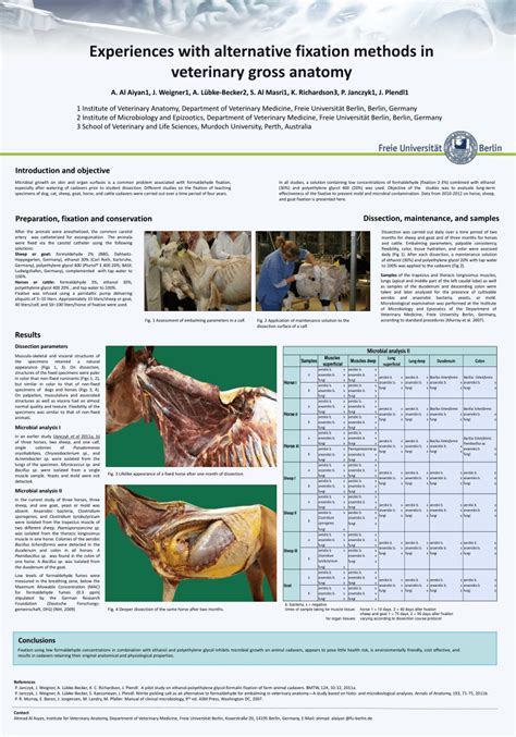 (PDF) Experiences with alternative fixation methods in veterinary gross anatomy