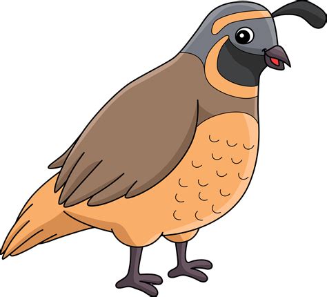 Quail Animal Cartoon Colored Clipart Illustration 10993674 Vector Art ...