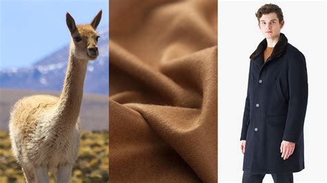 Why Are Vicuña Coats So Expensive? The Luxe Menswear Fabric Explained