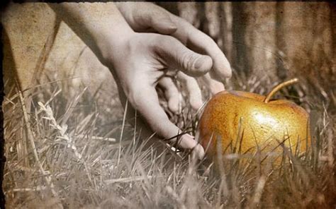 Golden Apple | Greek gods and goddesses, Atalanta, Golden apple