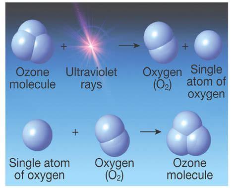 Ozone effect | Alpine Air Technologies - Blog