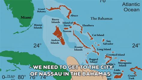 Bahamas GIFs - Find & Share on GIPHY