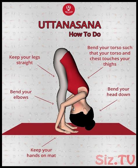 How TO Do Uttanasana How TO Do Uttanasana 7pranayama Save Images ...