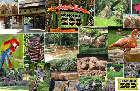 Honolulu Zoo! | Honolulu zoo, Hawaii homes, Hawaii