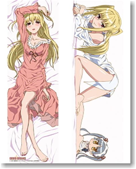 Maria Holic Shido Mariya Dakimakura Cover (Anime Toy) - HobbySearch ...