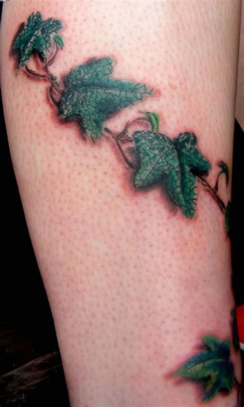 20 best Ivy Leaf Tattoo Patterns images on Pinterest | Leaf tattoos, Ivy tattoo and Ivy leaf