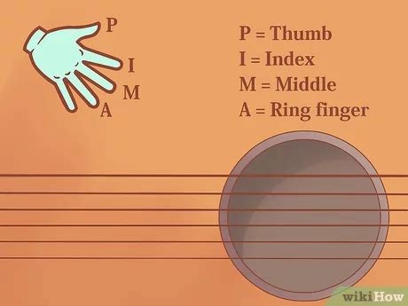 Aggregate 161+ guitar finger picks vs nails latest - ceg.edu.vn