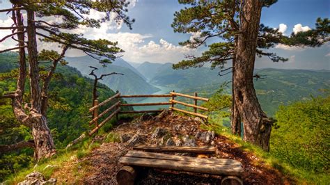 National Park Tara, Serbia : r/europe