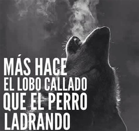 Mas hace el lobo callado... | Cool words, Words quotes, Motivational quotes