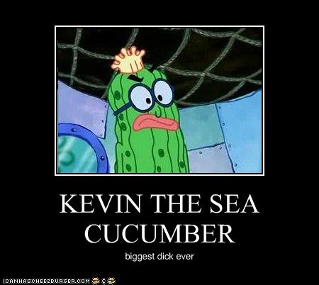 KEVIN THE SEA CUCUMBER - Cheezburger - Funny Memes | Funny Pictures