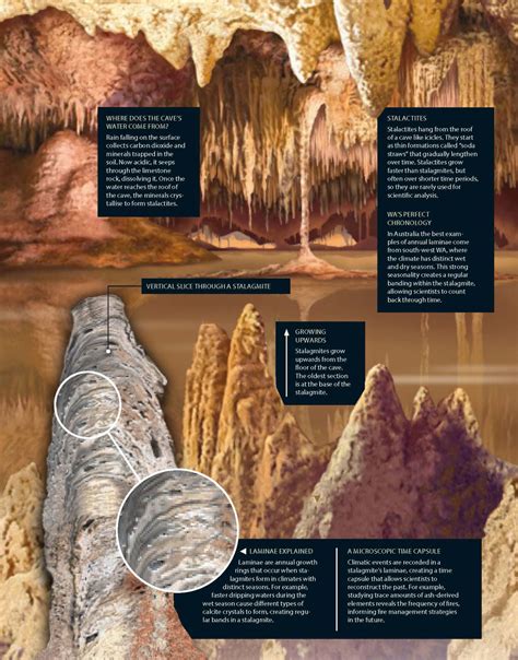 Microscopic layers of stalagmites provide clues to earlier climate ...