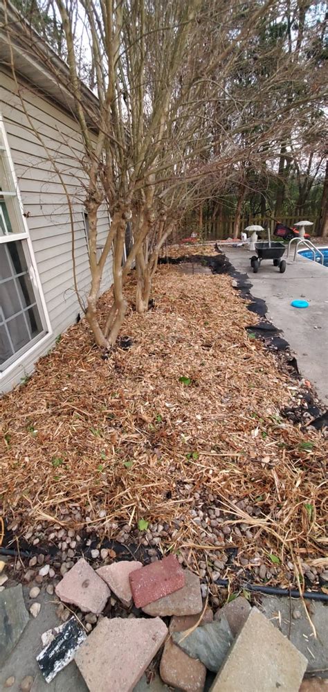 Here's pictures of free mulch that was provided : r/Charlotte