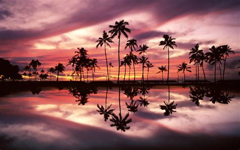 Sunset over the Ala Moana Beach Park, Honolulu, Oahu, Hawaii - wallpaper - Beach Wallpapers