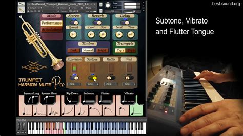 Harmon muted Trumpet sound library for NI Kontakt, VST Brass, Best Sound - YouTube