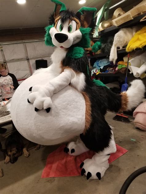 Cat Fursuit, Fat Furs, Fursuit Tutorial, Animal Costumes, Anthro Furry ...