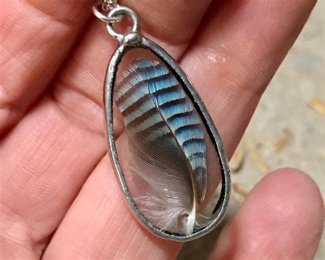 Small Blue Jay Feather Pendant Real Feather Necklace on a | Etsy