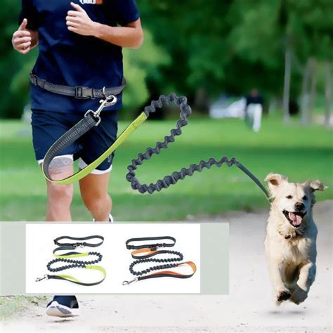 WantsiePet Waterproof Reflective Handsfree Bungee Dog Leash | Waist dog leash, Dog leash, Hands ...