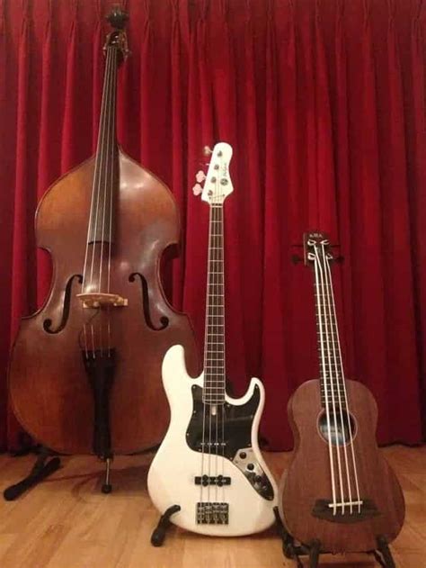 Bass Ukulele Pitch & Tuning Versus Bass Guitar – Bass Cave