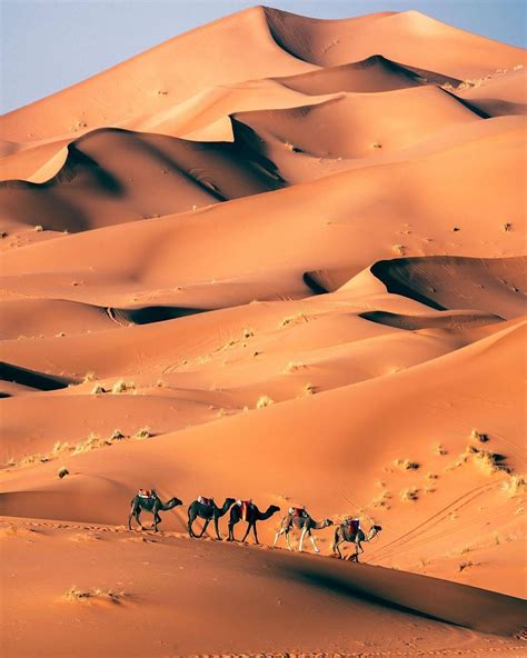 Top 92+ Wallpaper Where Is The Sahara Desert In Morocco Updated 10/2023