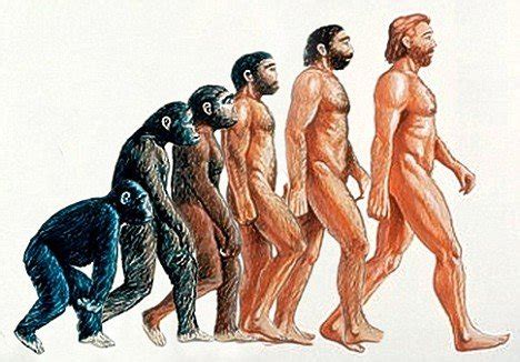 We are humans and apes