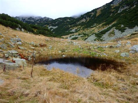 Pirin National Park | National parks, Unesco world heritage site, World heritage list