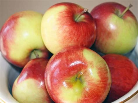 17 Popular Types of Apples and Their Nutrition Facts - Nutrition Advance