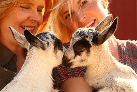 Meet Your Farmer: Chivas Goat Milk Soaps