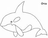 Orca Whale For Kids Image Coloring Pages  Cool sketch template