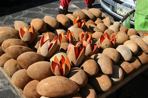 12 Most Popular Mexican Fruits To Try - Journey To Mexico