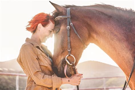 Five Ways to Celebrate National Horse Day | NASC LIVE